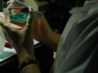 Bonding/Adhesion